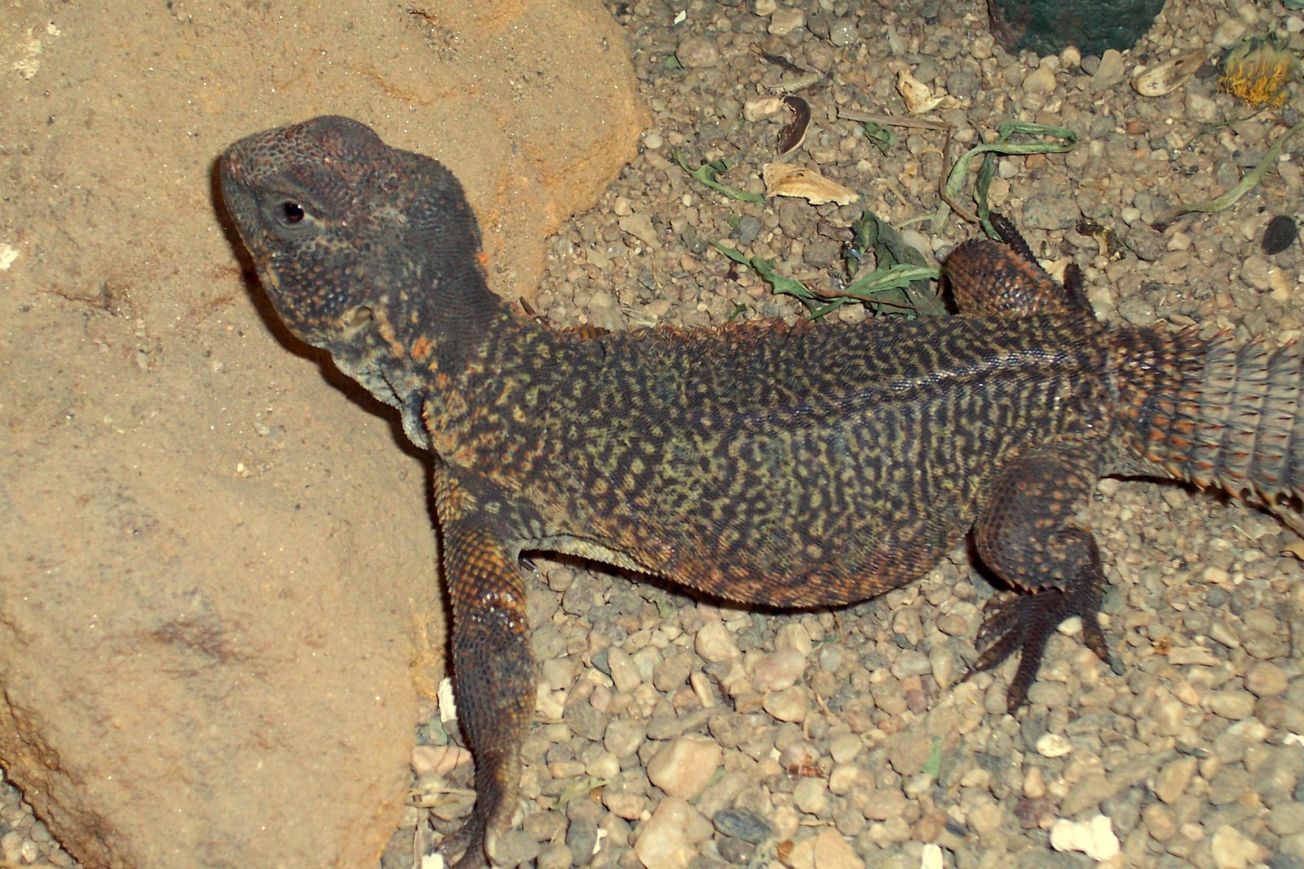 Snímek 054.jpg
