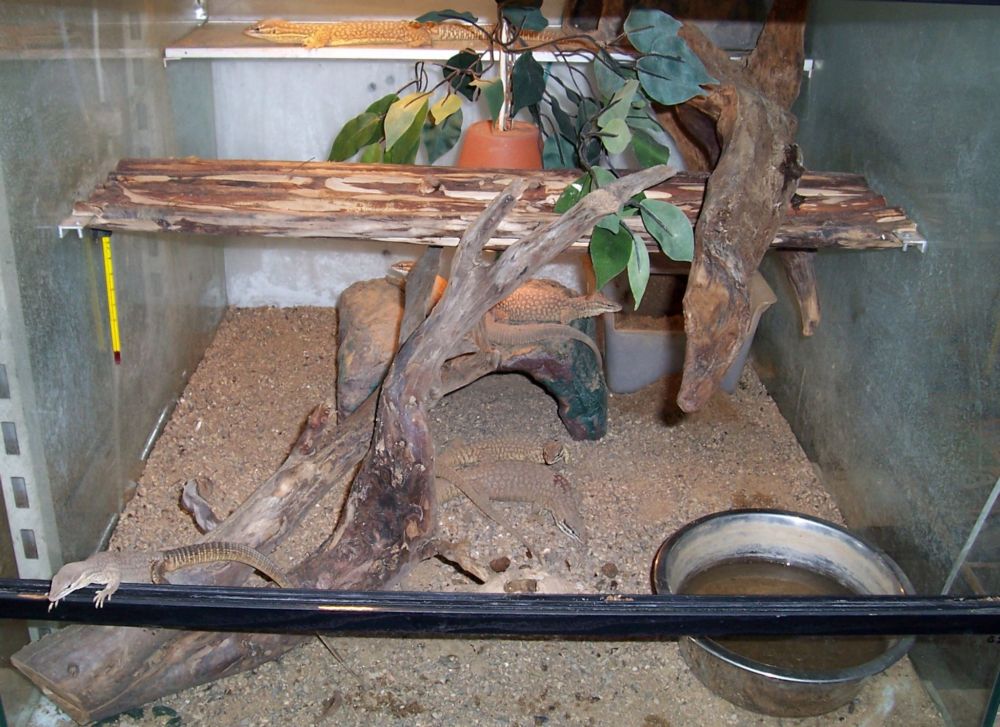 Snímek 056.jpg